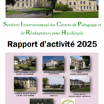 L’image actuelle n’a pas de texte alternatif. Le nom du fichier est : Capture-decran-rapport-dactivite-2025.png